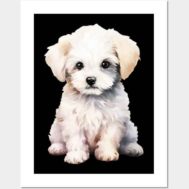 Puppy Bichon Frise Wall Art by DavidBriotArt